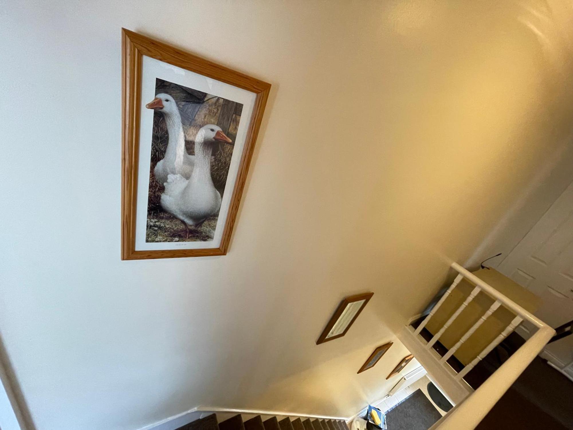 史云顿Beanies Lornestreet Four Bed House公寓 外观 照片